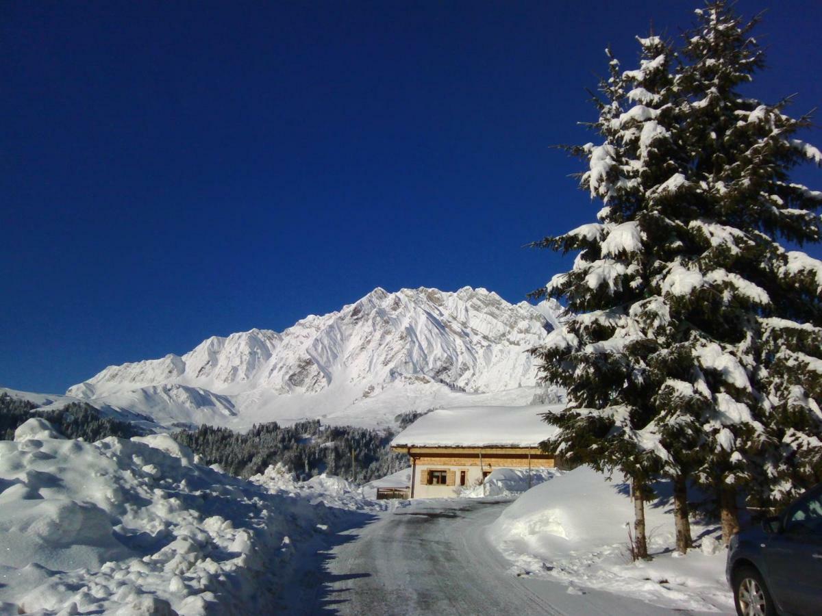 Les Fenetres Du Mont Blanc Apartment La Giettaz Bagian luar foto