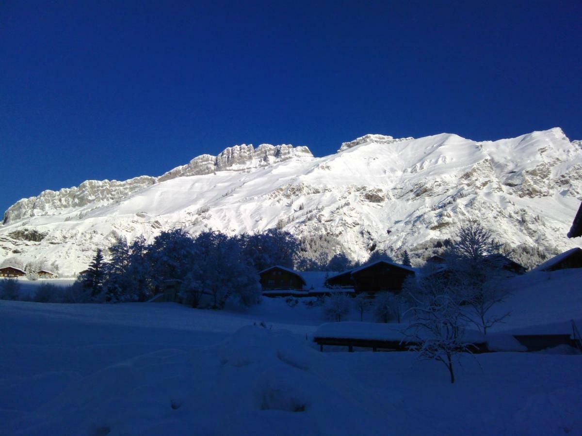Les Fenetres Du Mont Blanc Apartment La Giettaz Bagian luar foto